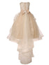 Girls Multi Color Lace Applique Sequin Train Tail Flower Girl Dress 2-16 - SophiasStyle.com